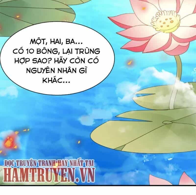 Hỗn Độn Kim Ô - Chương 61 - ảnh 21