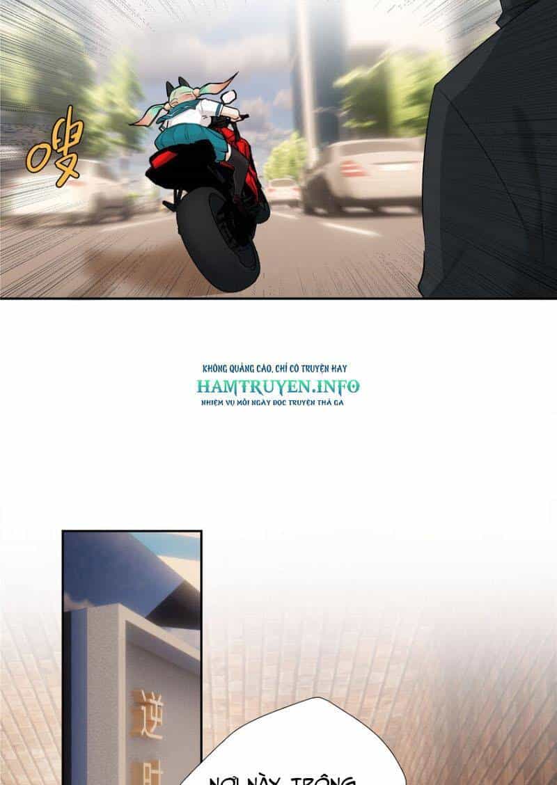 Hỗn Loạn Nhất Lịch Sử - Chương 32 - ảnh 16