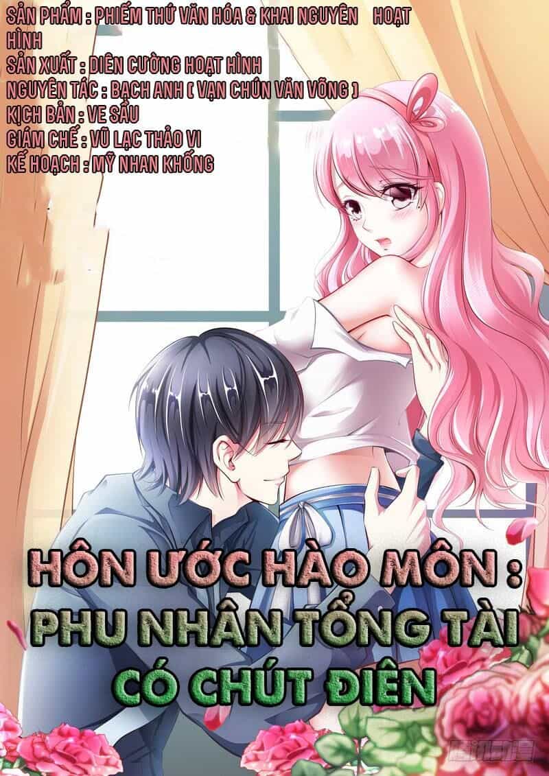 Hôn Ước Hào Môn: Phu Nhân Tổng Tài Có Chút Điên - Chương 3 - ảnh 1