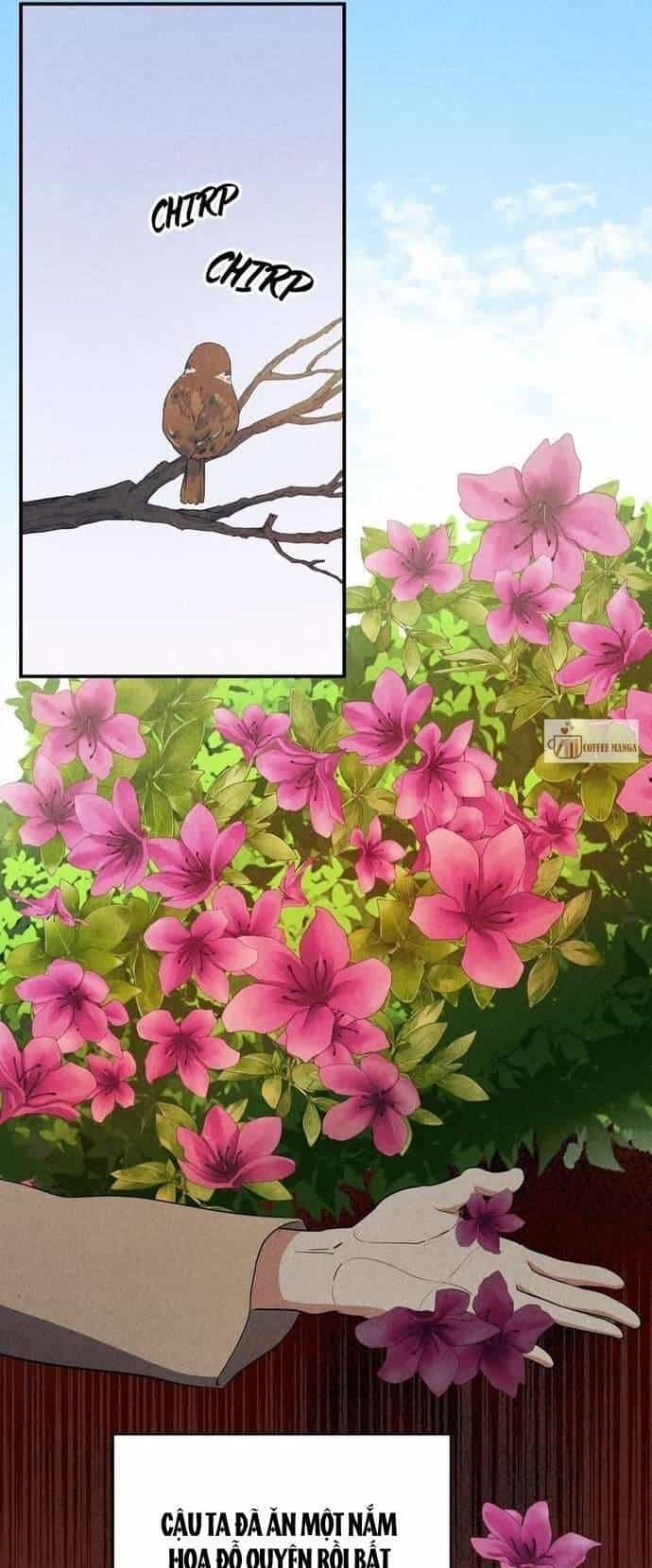 Hong Rang Thân Mếm - Chương 18 - ảnh 28