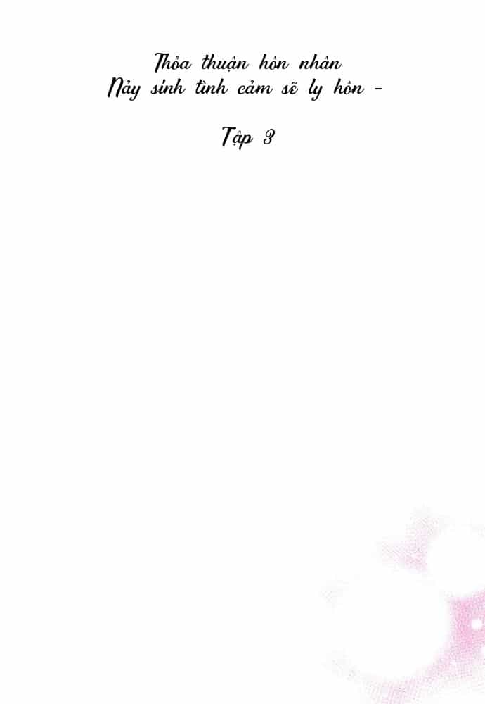 Hợp Đồng Hôn Nhân - Chương 3 - ảnh 3