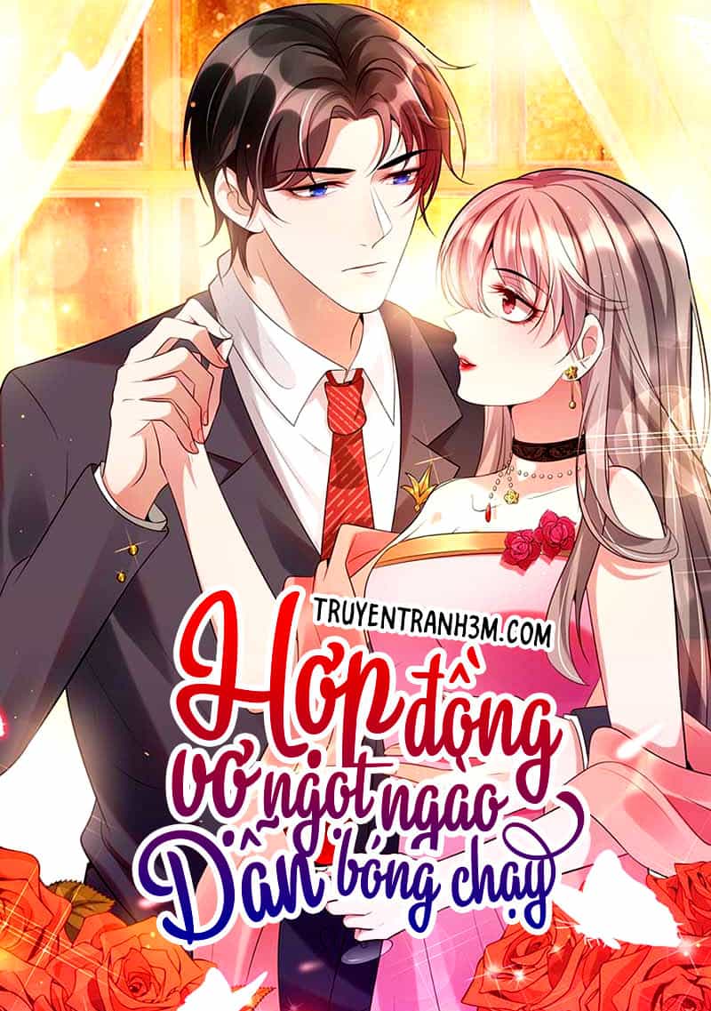 Hợp Đồng Vợ Ngọt Ngào Dẫn Bóng Chạy - Chương 5 - ảnh 1