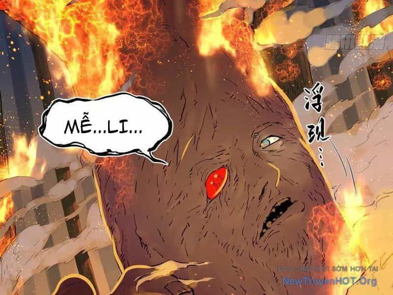 Hộp Mãnh Thú: Kỷ Nguyên Cơ Giáp - Chương 45 - ảnh 21