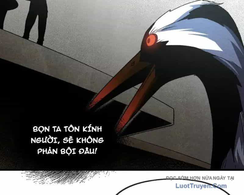 Hư Thực Chi Vương - Chương 41 - ảnh 47