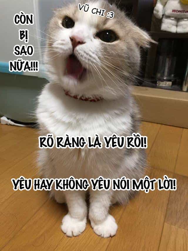 Hướng Dẫn Bảo Trì Người Máy - Chương 20 - ảnh 24