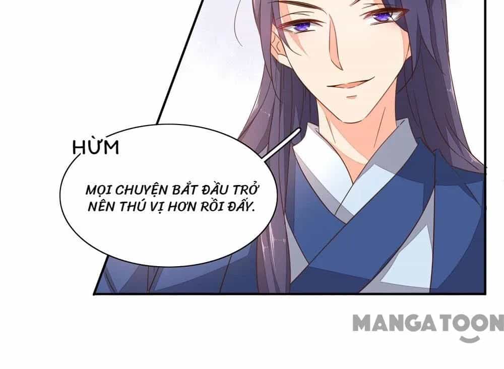 Hướng Dẫn Sau Kết Hôn Của Vương Phi - Chương 44 - ảnh 3