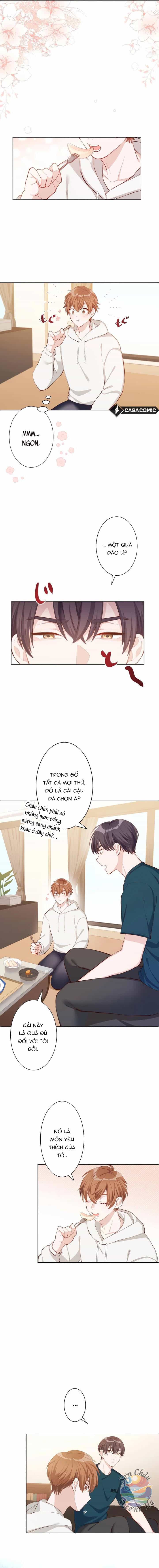 Hương Đào Hè - Chương 2 - ảnh 7