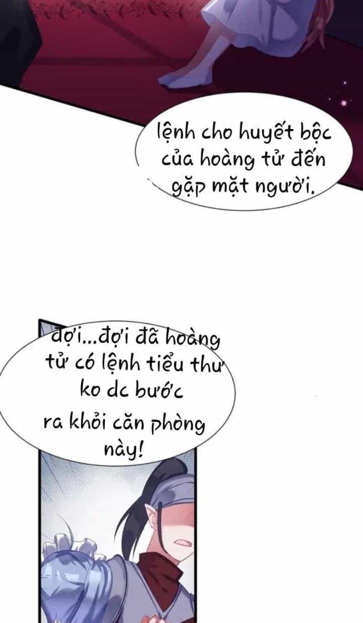 Huyết Tộc Điện Hạ Đừng Giết Ta - Chương 19.1 - ảnh 11