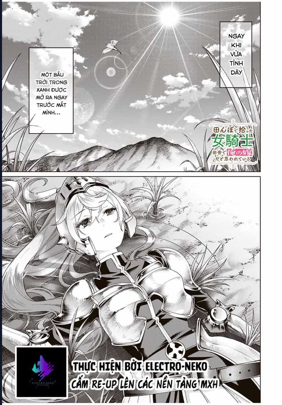 I Found A Female Knight In A Rice Field, In The Countryside They Think She’s My Wife - Chương 40 - ảnh 6