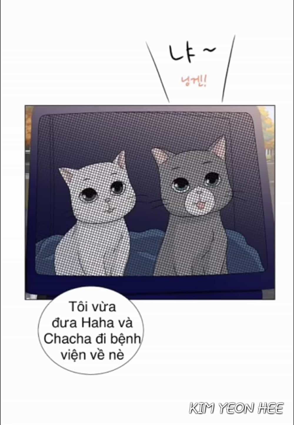 Idol Và Sếp Em Yêu Ai? - Chương 128 - ảnh 19