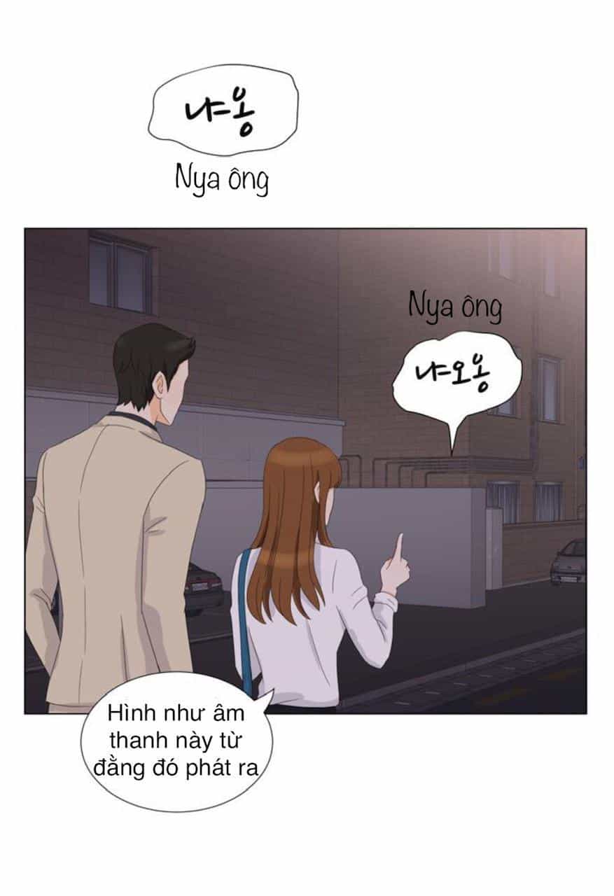 Idol Và Sếp Em Yêu Ai? - Chương 21 - ảnh 21