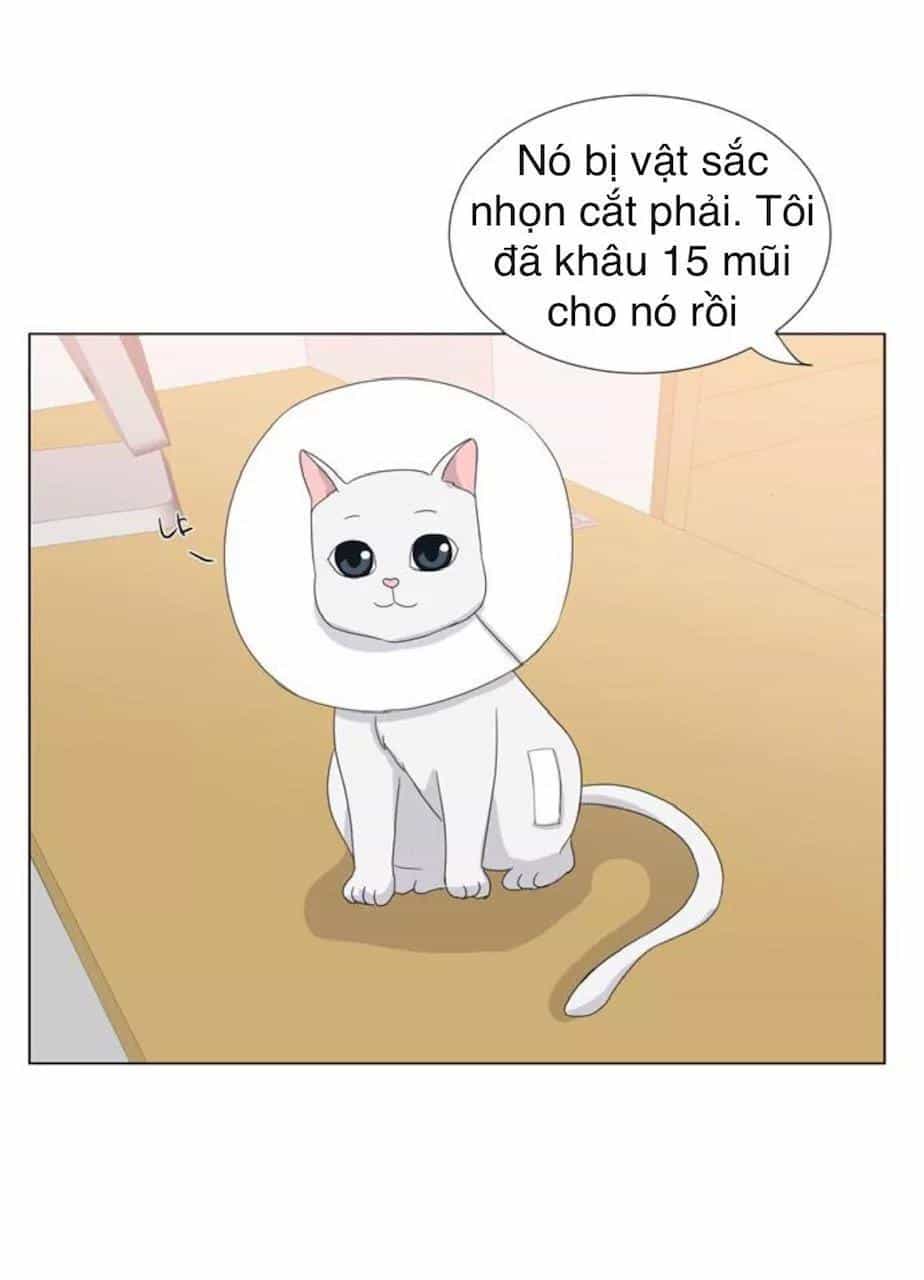 Idol Và Sếp Em Yêu Ai? - Chương 22 - ảnh 4