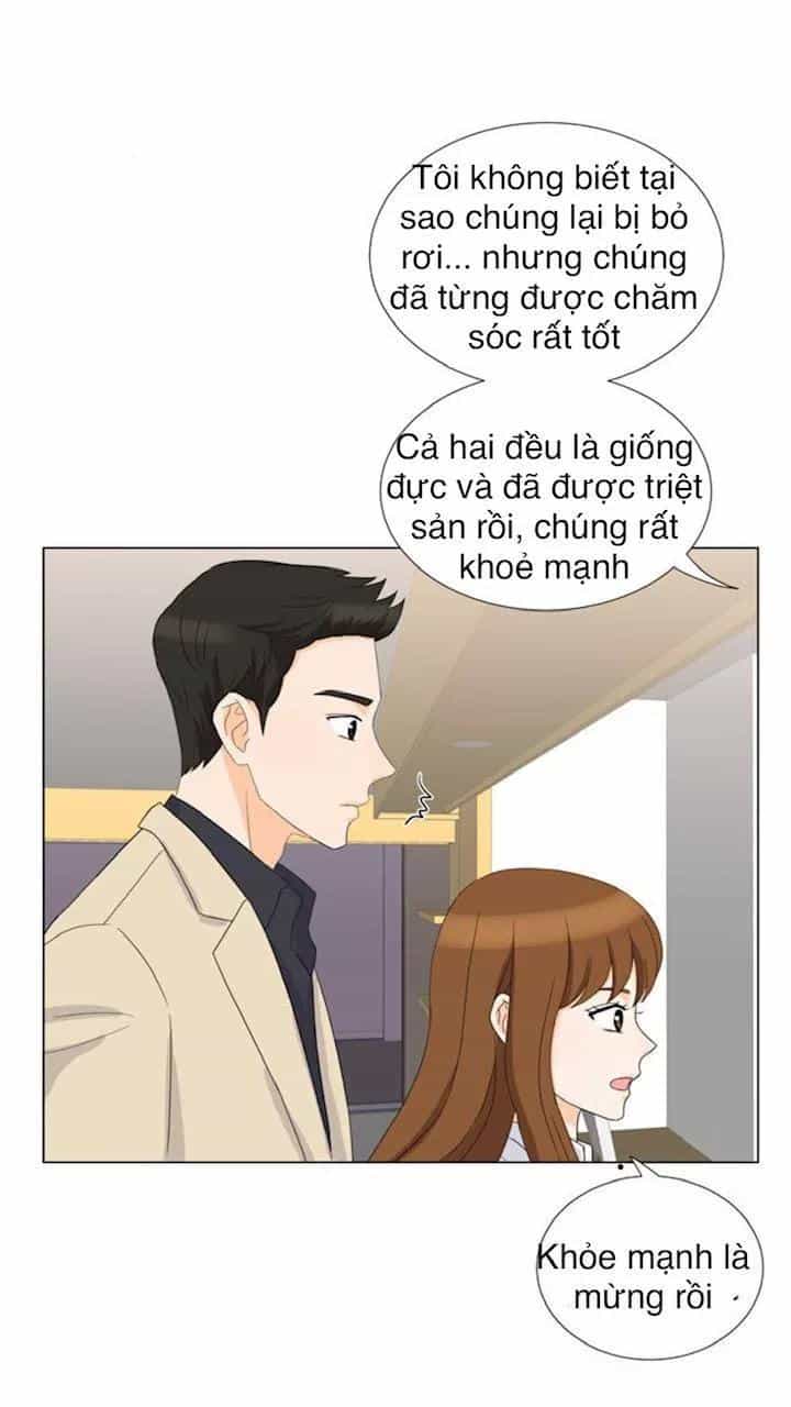 Idol Và Sếp Em Yêu Ai? - Chương 22 - ảnh 6