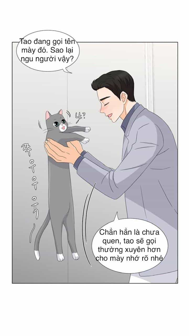 Idol Và Sếp Em Yêu Ai? - Chương 27 - ảnh 11