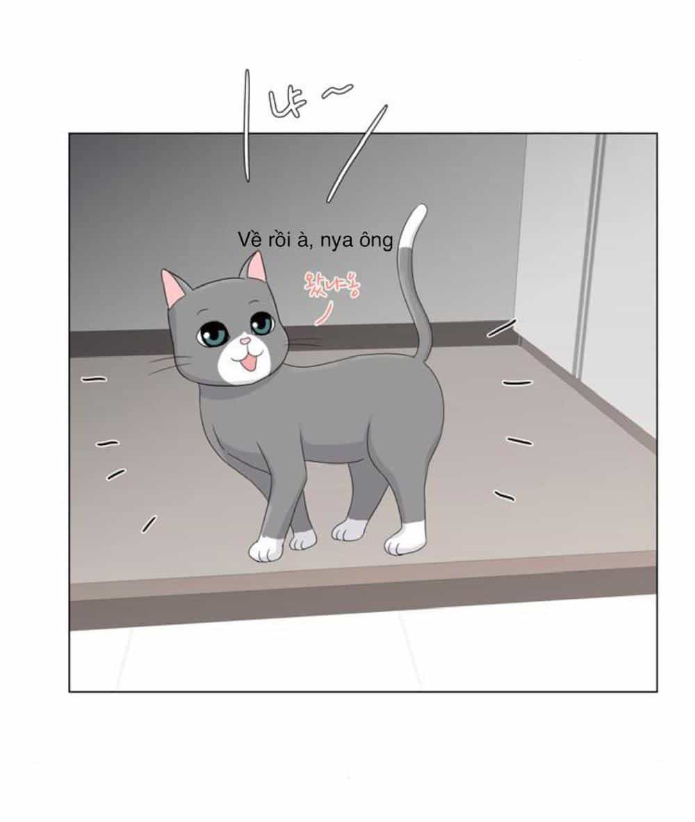 Idol Và Sếp Em Yêu Ai? - Chương 27 - ảnh 5