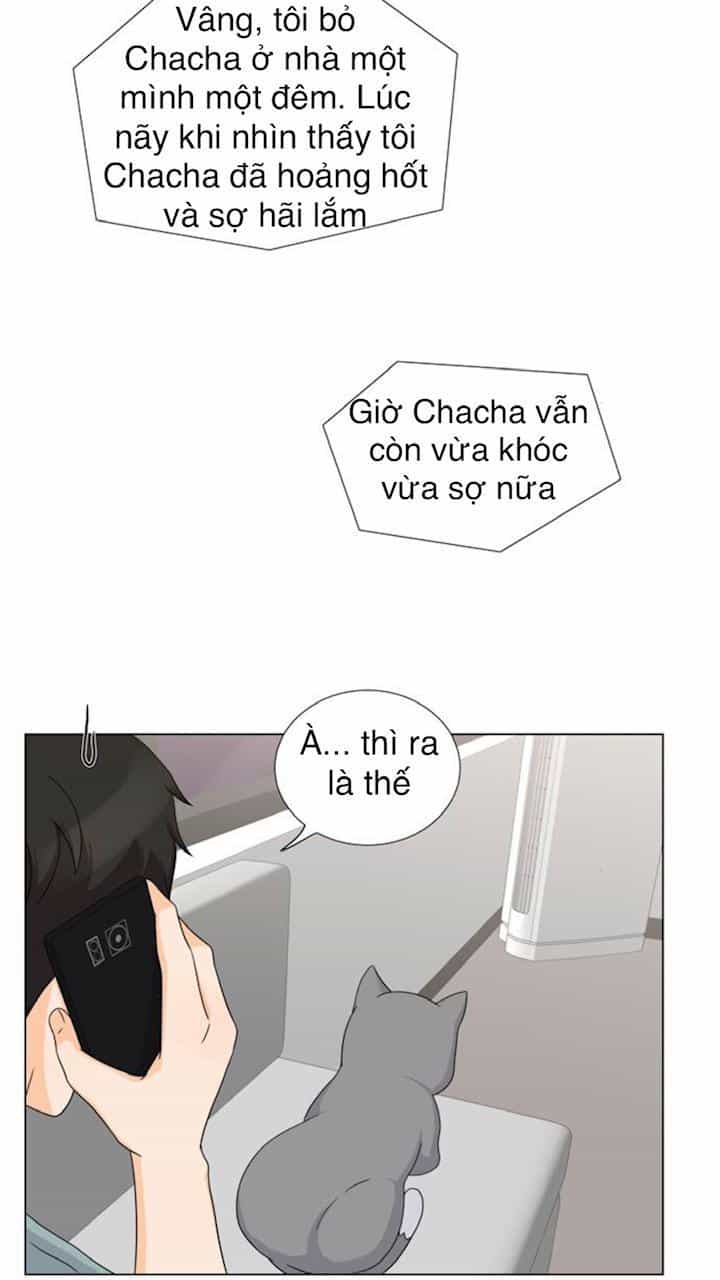 Idol Và Sếp Em Yêu Ai? - Chương 68 - ảnh 19