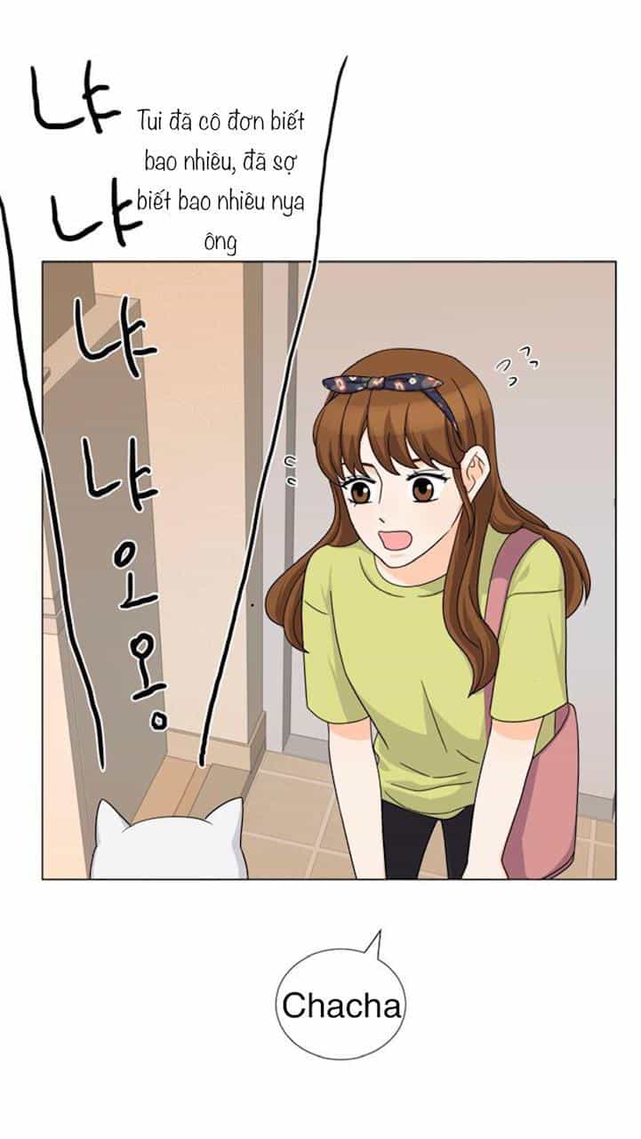 Idol Và Sếp Em Yêu Ai? - Chương 68 - ảnh 6
