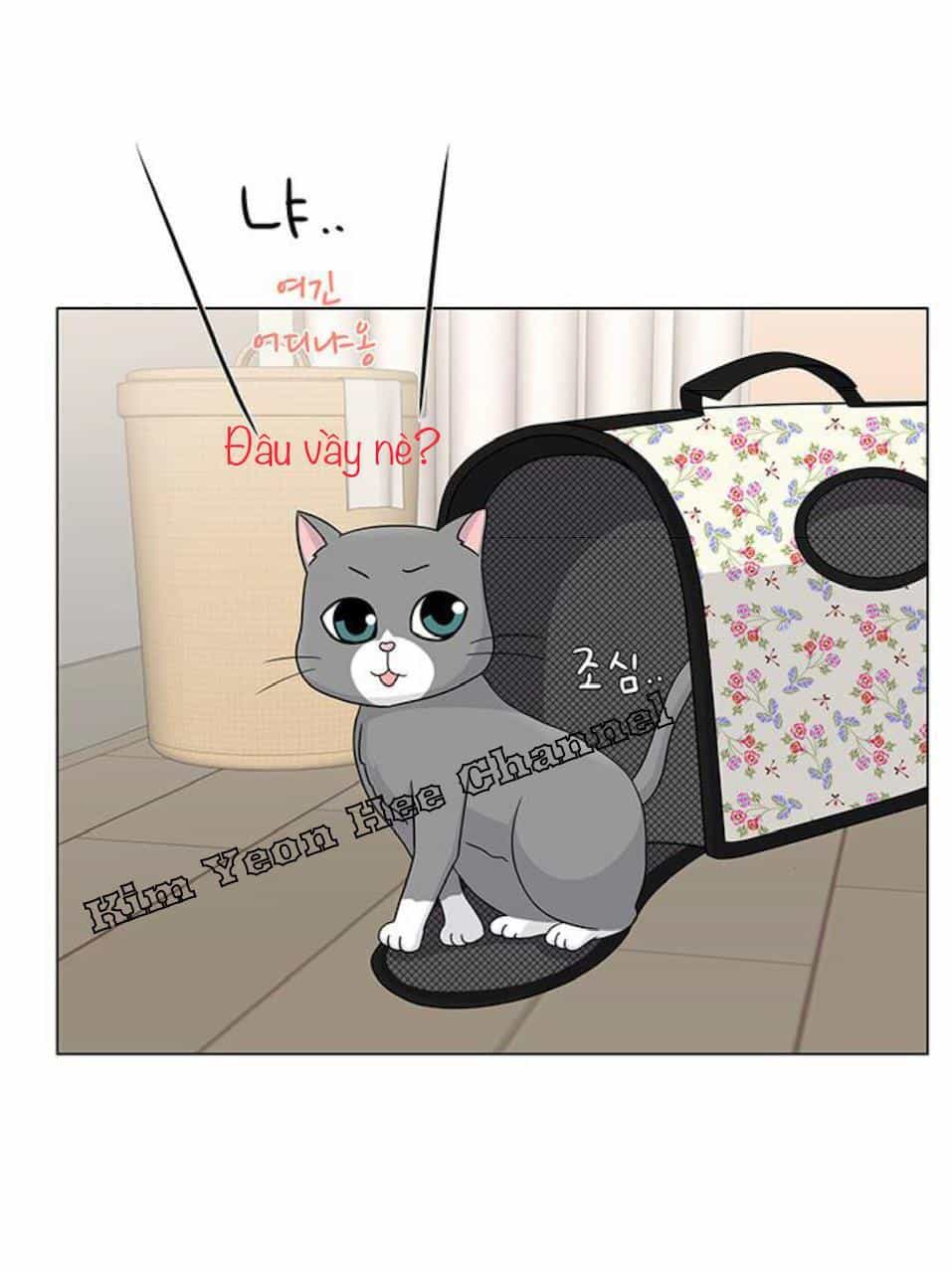 Idol Và Sếp Em Yêu Ai? - Chương 91 - ảnh 25