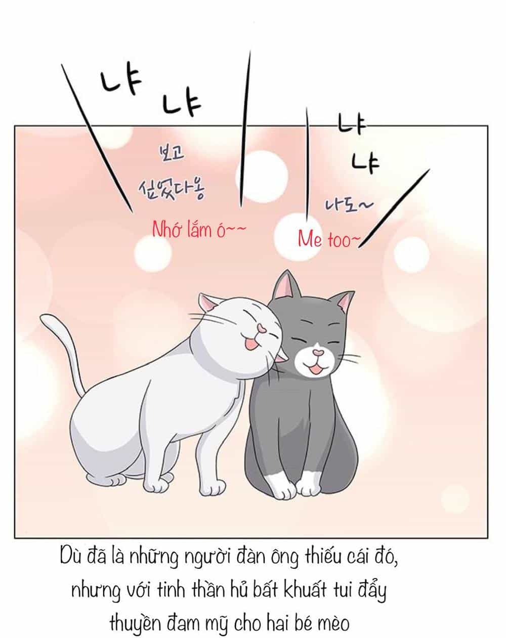 Idol Và Sếp Em Yêu Ai? - Chương 91 - ảnh 27