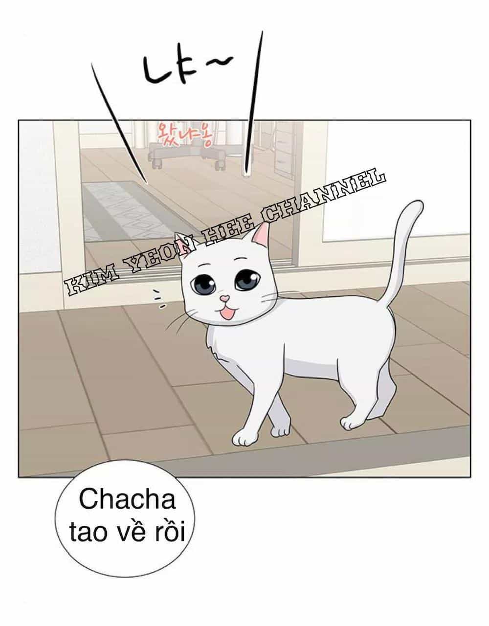 Idol Và Sếp Em Yêu Ai? - Chương 98 - ảnh 33