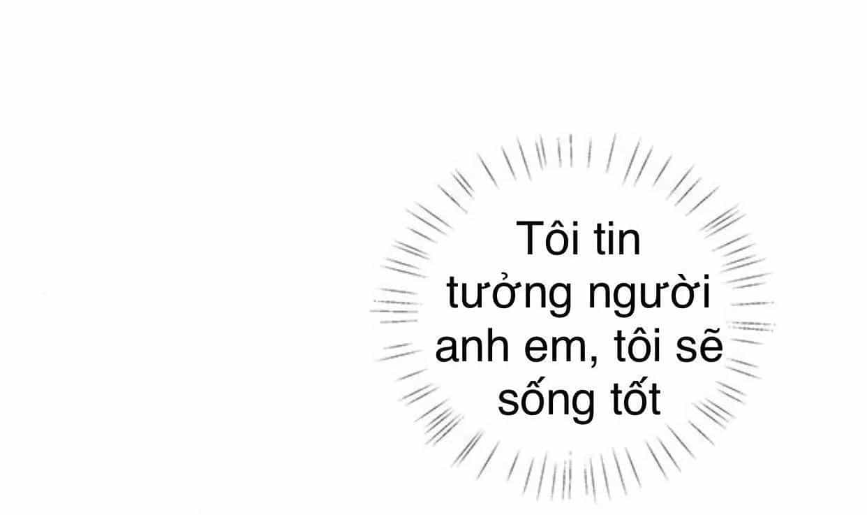 Idol Và Sếp Em Yêu Ai? - Chương 98 - ảnh 46