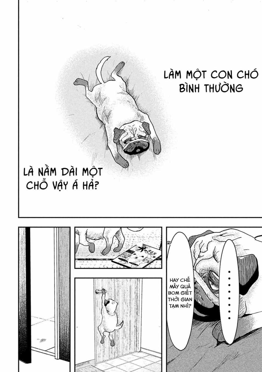 Innu - Chú Chó Bá Đạo - Chương 2 - ảnh 9