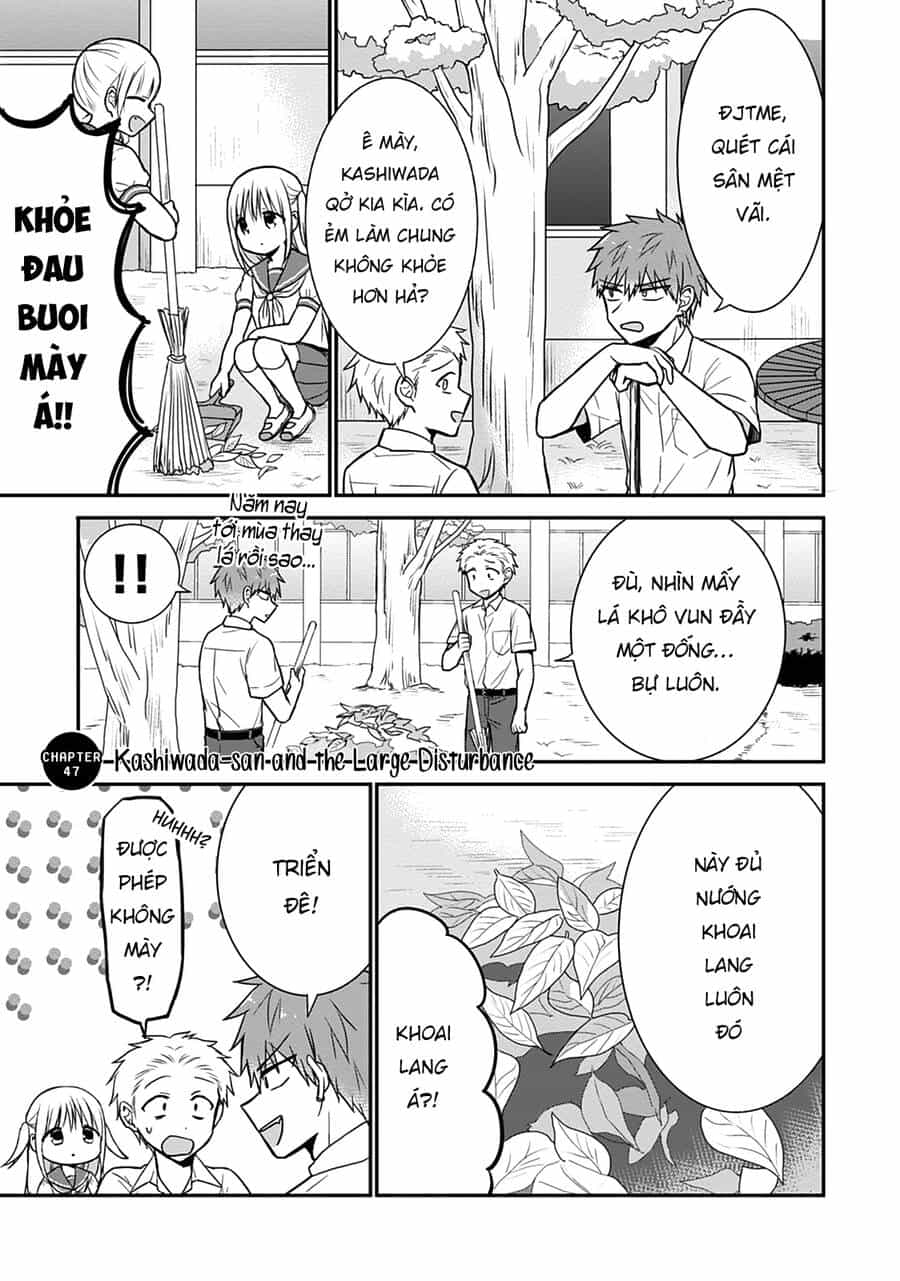 Kao Ni Denai Kashiwada-San To Kao Ni Deru Oota-Kun - Chương 47 - ảnh 3