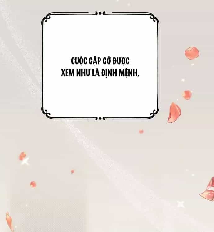 Kẻ Cưỡng Bức Yêu Quý Của Tôi - Chương 1 - ảnh 32