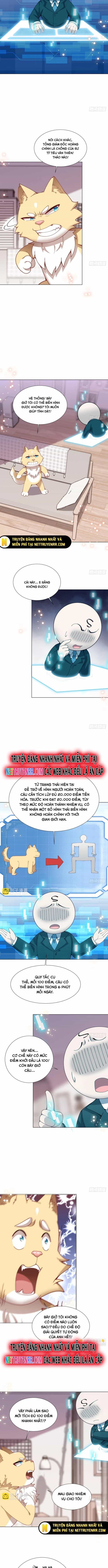 Kế Hoạch Bồi Dưỡng Streamer Của Cẩu Hoàng - Chương 11 - ảnh 4