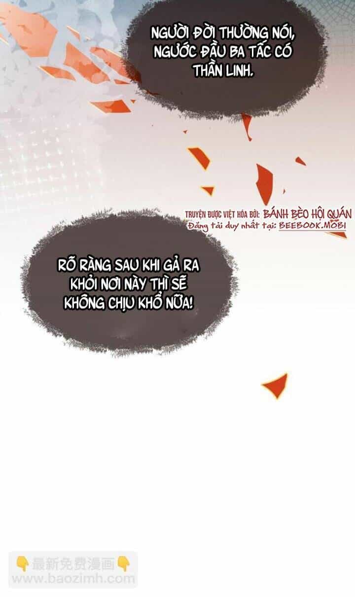Kế Hoạch Nuôi Dưỡng Bệnh Kiều Vương Gia - Chương 1 - ảnh 22