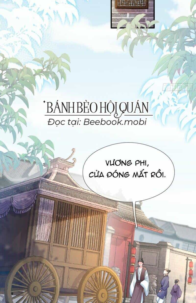 Kế Hoạch Nuôi Dưỡng Bệnh Kiều Vương Gia - Chương 10 - ảnh 13