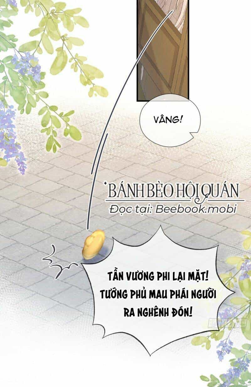 Kế Hoạch Nuôi Dưỡng Bệnh Kiều Vương Gia - Chương 10 - ảnh 15
