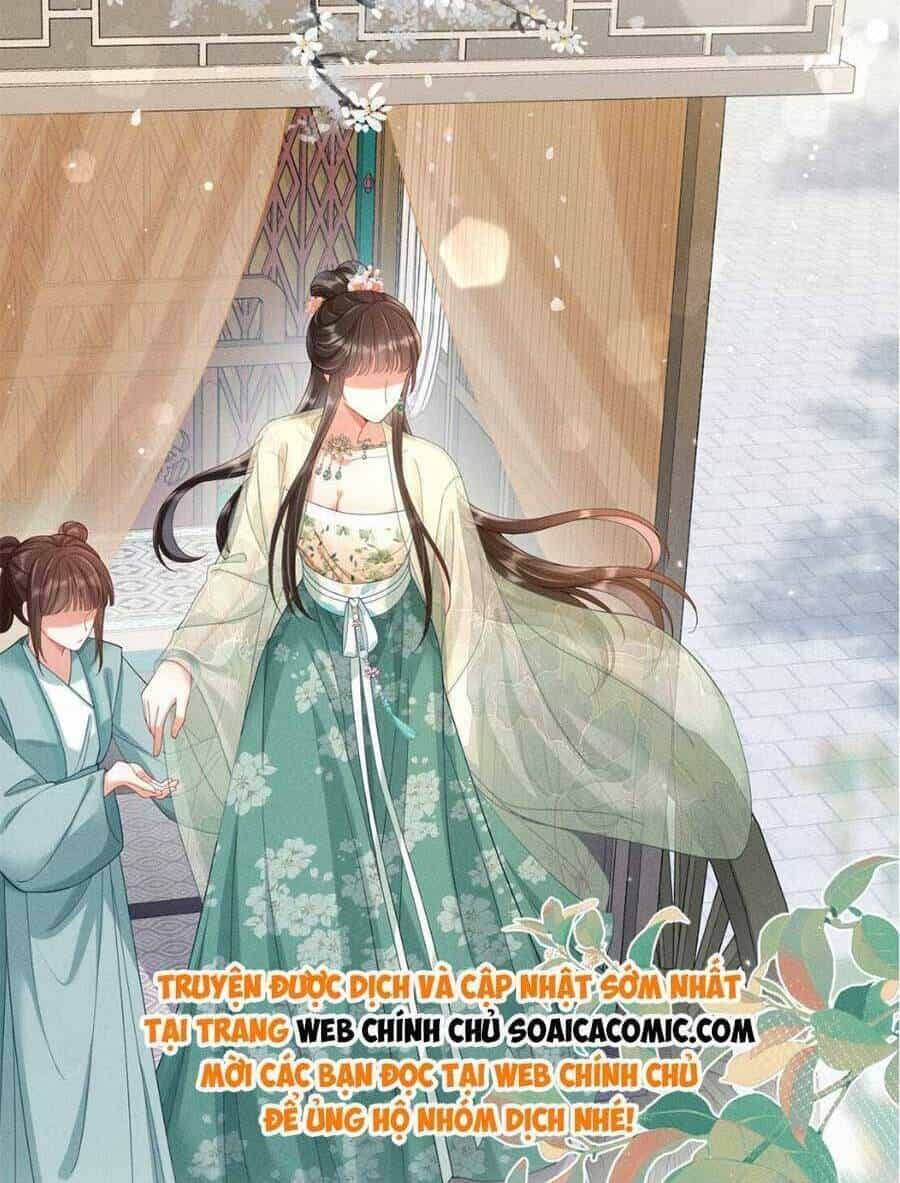 Kế Hoạch Nuôi Dưỡng Bệnh Kiều Vương Gia - Chương 11 - ảnh 10
