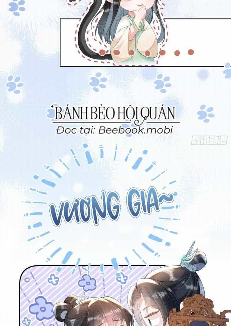 Kế Hoạch Nuôi Dưỡng Bệnh Kiều Vương Gia - Chương 14 - ảnh 3