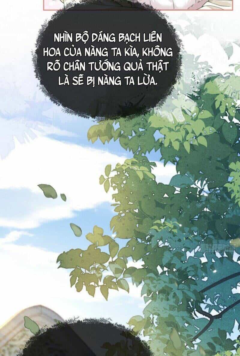 Kế Hoạch Nuôi Dưỡng Bệnh Kiều Vương Gia - Chương 15 - ảnh 9