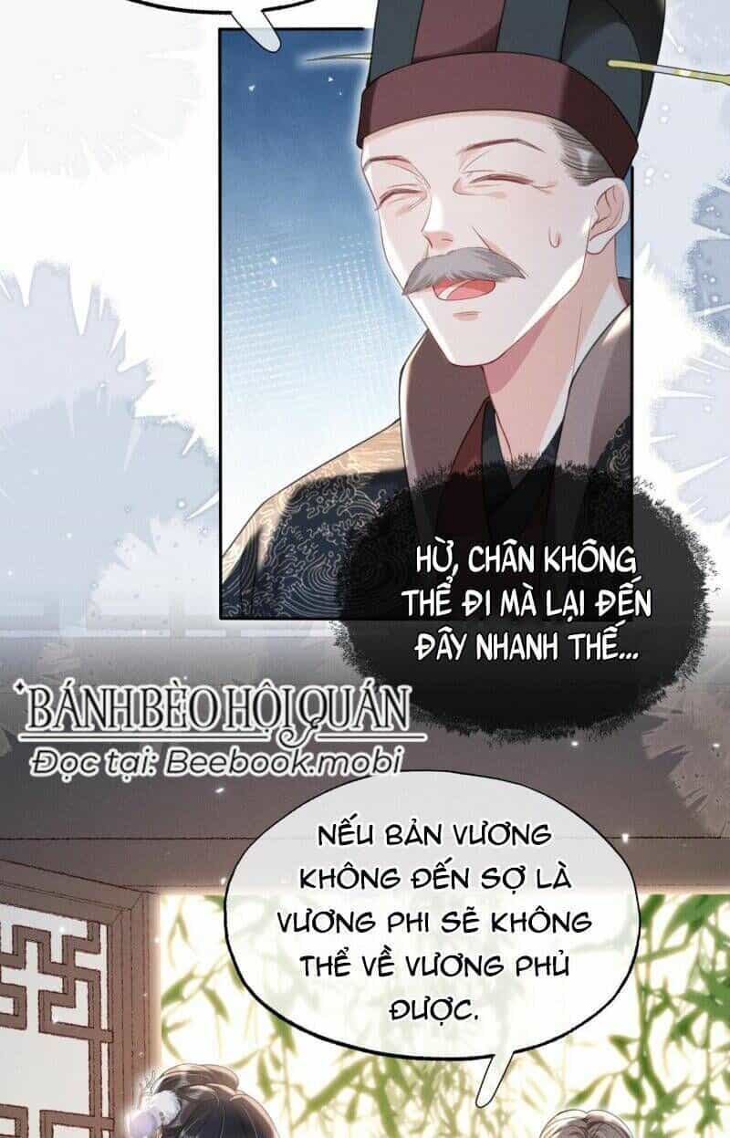Kế Hoạch Nuôi Dưỡng Bệnh Kiều Vương Gia - Chương 17 - ảnh 10
