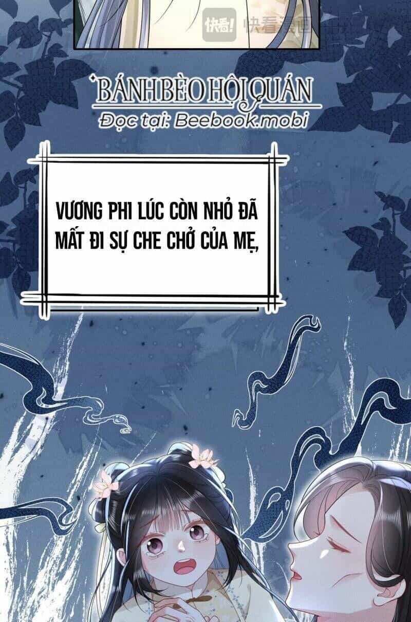 Kế Hoạch Nuôi Dưỡng Bệnh Kiều Vương Gia - Chương 19 - ảnh 13