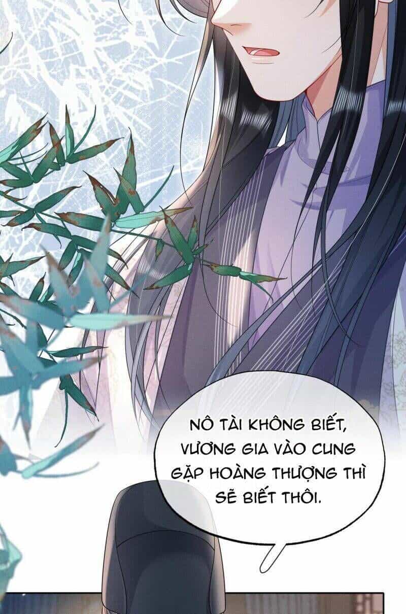 Kế Hoạch Nuôi Dưỡng Bệnh Kiều Vương Gia - Chương 19 - ảnh 6