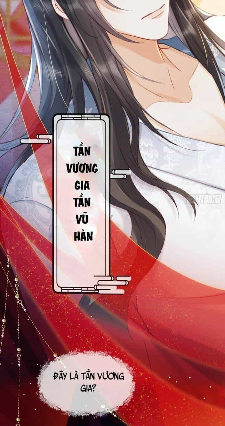 Kế Hoạch Nuôi Dưỡng Bệnh Kiều Vương Gia - Chương 2 - ảnh 22