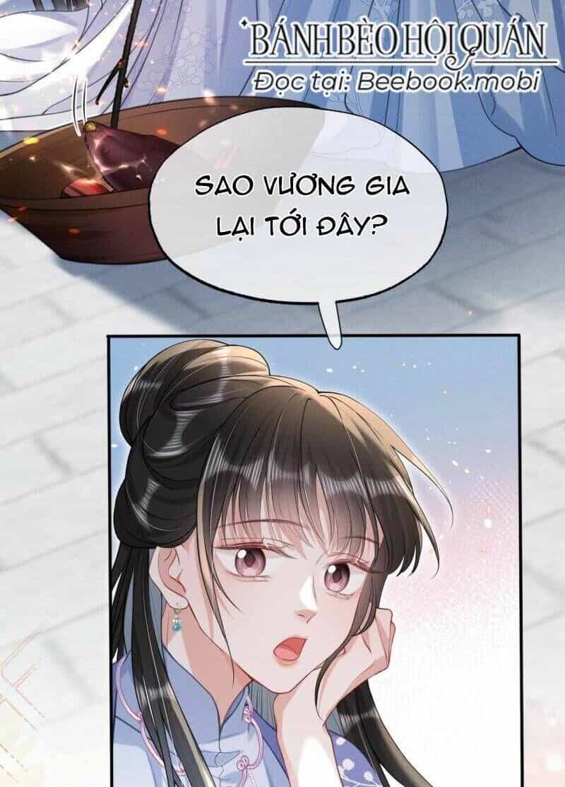 Kế Hoạch Nuôi Dưỡng Bệnh Kiều Vương Gia - Chương 20 - ảnh 13