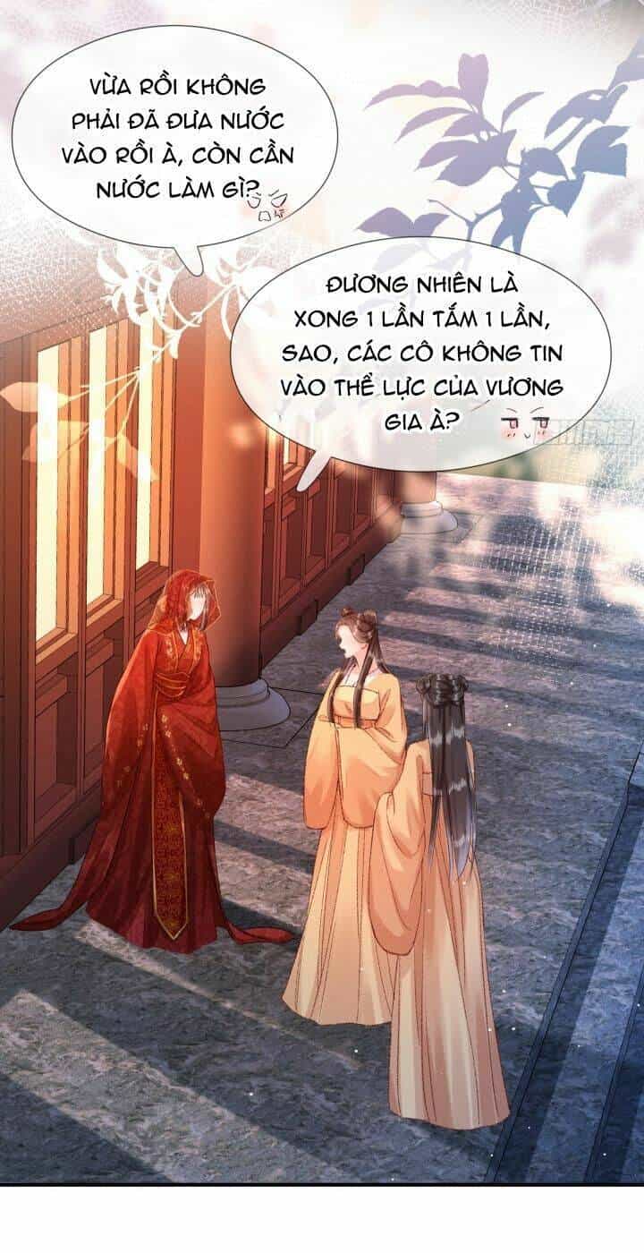 Kế Hoạch Nuôi Dưỡng Bệnh Kiều Vương Gia - Chương 3 - ảnh 23