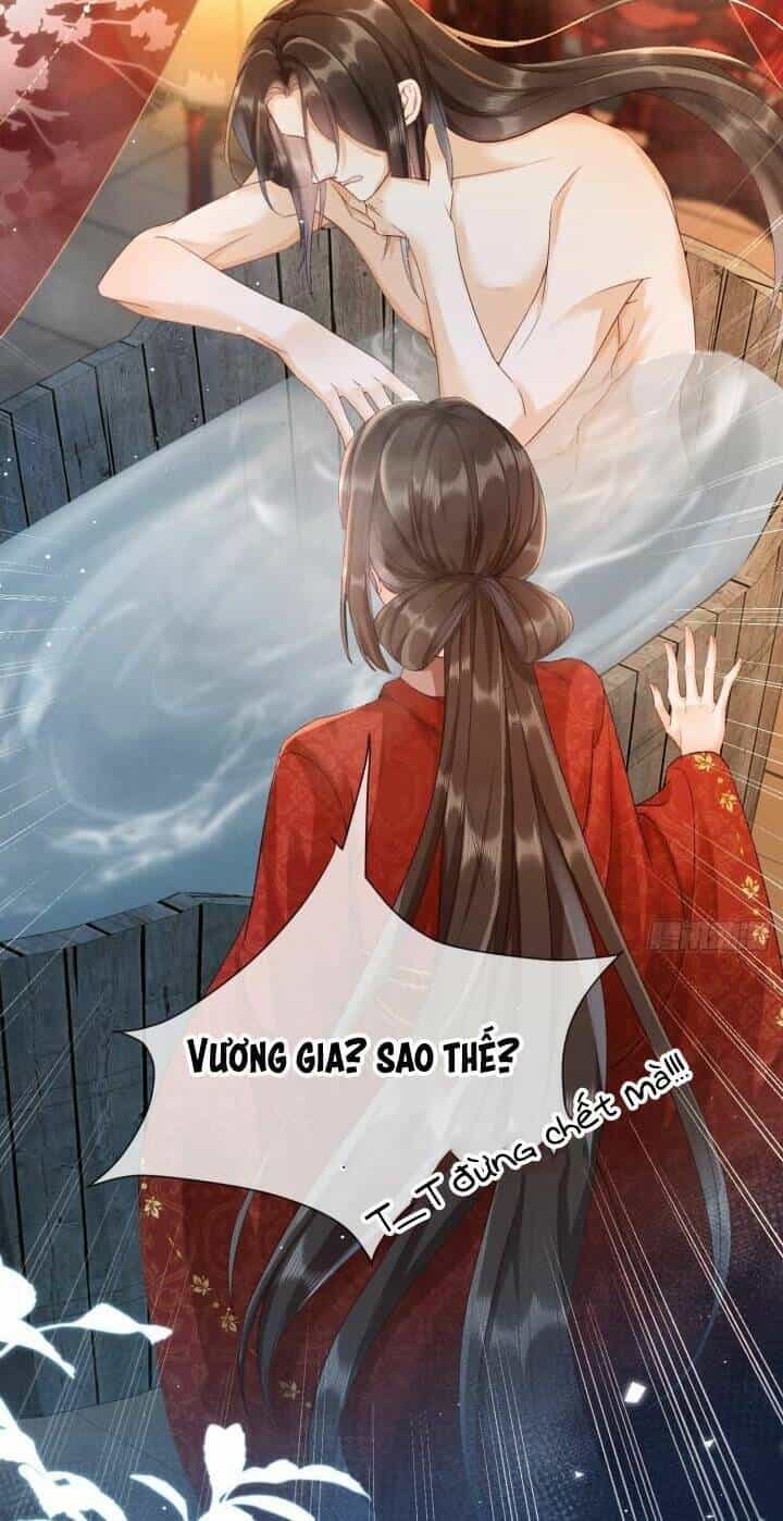 Kế Hoạch Nuôi Dưỡng Bệnh Kiều Vương Gia - Chương 3 - ảnh 32