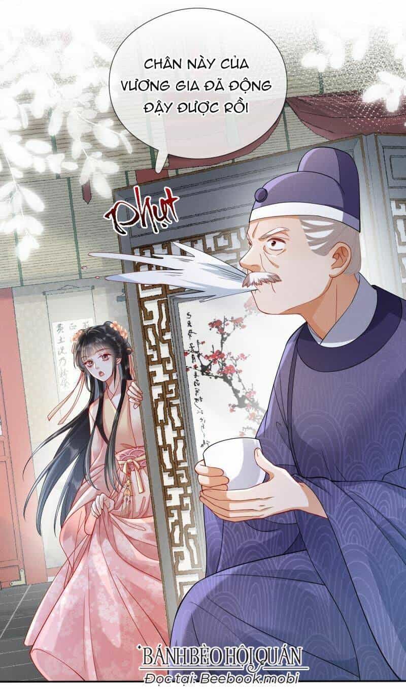 Kế Hoạch Nuôi Dưỡng Bệnh Kiều Vương Gia - Chương 6 - ảnh 33