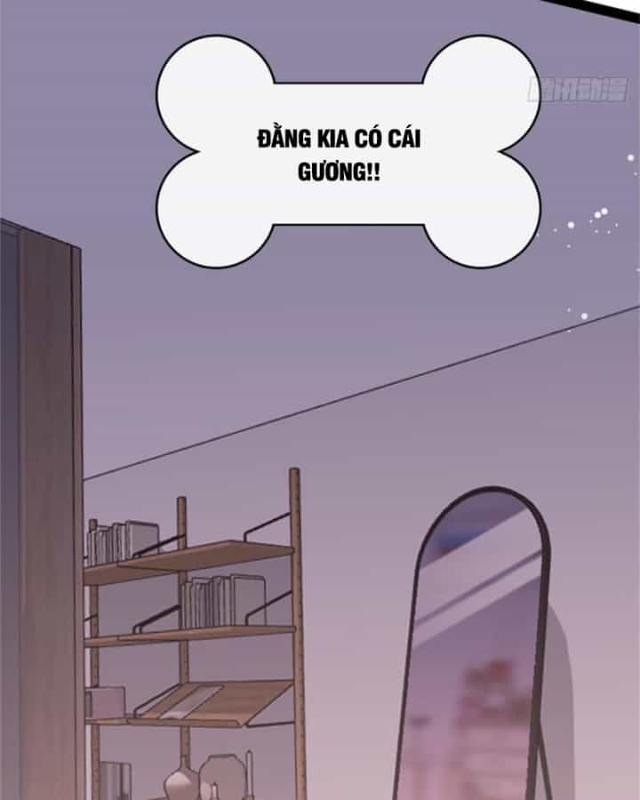 Kế Hoạch Nuôi Dưỡng Streamer Của Cẩu Hoàng - Chương 1 - ảnh 21