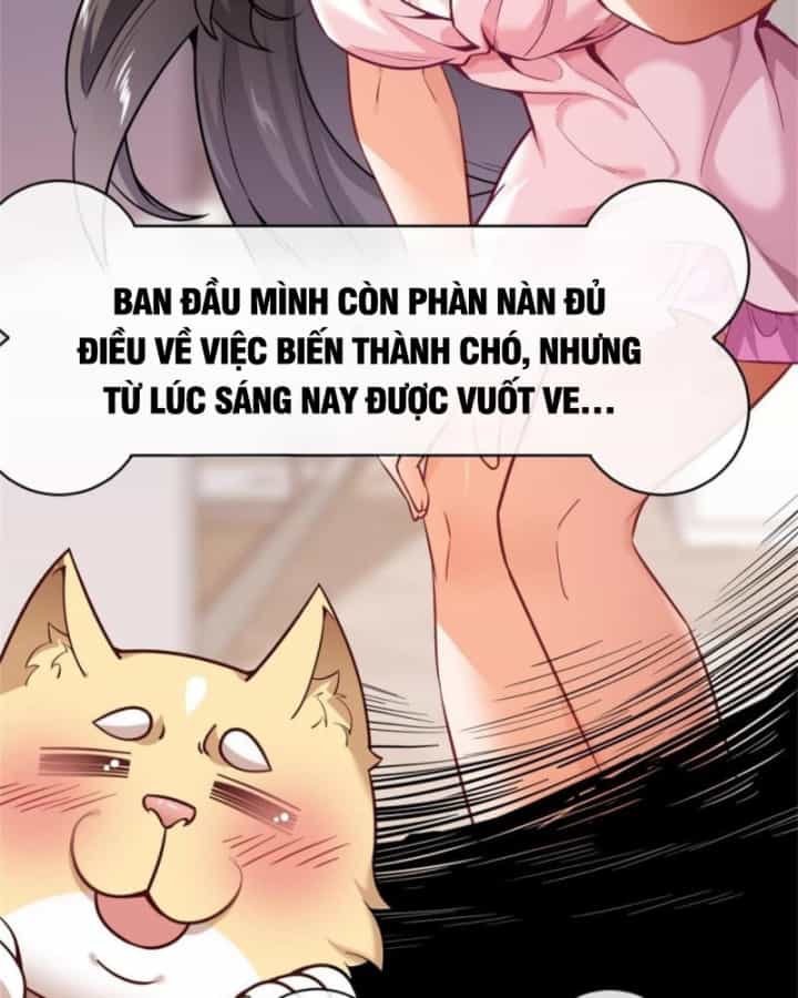 Kế Hoạch Nuôi Dưỡng Streamer Của Cẩu Hoàng - Chương 1 - ảnh 39