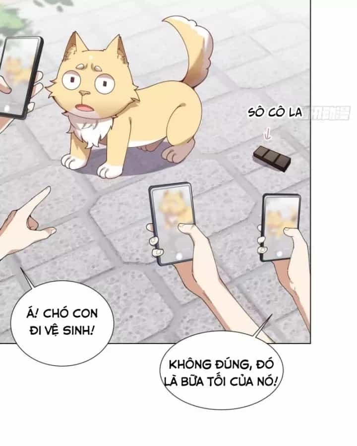 Kế Hoạch Nuôi Dưỡng Streamer Của Cẩu Hoàng - Chương 11 - ảnh 91