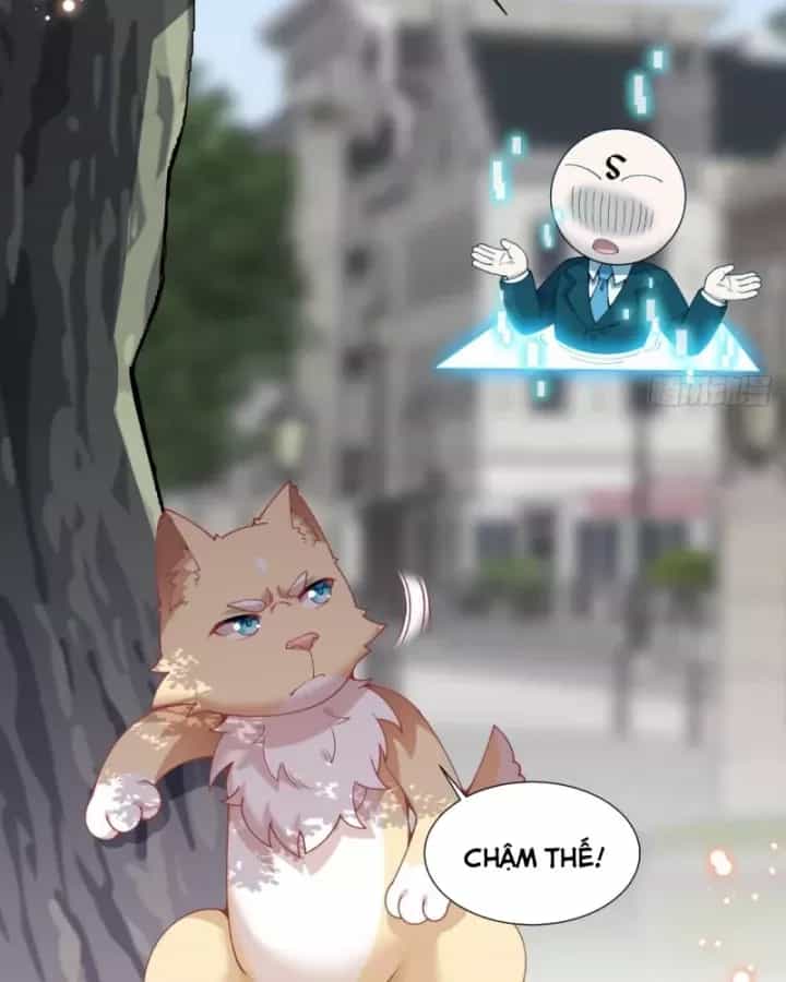 Kế Hoạch Nuôi Dưỡng Streamer Của Cẩu Hoàng - Chương 13 - ảnh 52