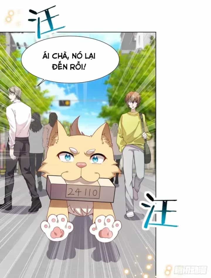 Kế Hoạch Nuôi Dưỡng Streamer Của Cẩu Hoàng - Chương 15 - ảnh 14