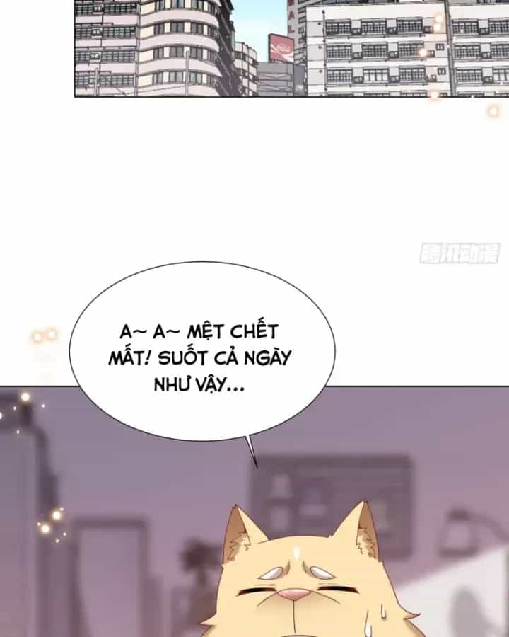 Kế Hoạch Nuôi Dưỡng Streamer Của Cẩu Hoàng - Chương 15 - ảnh 46