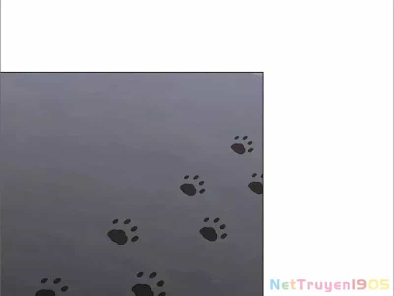 Kế Hoạch Nuôi Dưỡng Streamer Của Cẩu Hoàng - Chương 19 - ảnh 107
